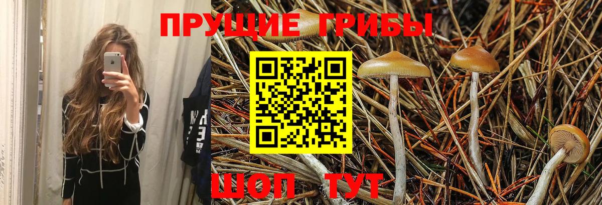 Югорск  Галлюциногенные грибы Psilocybe  Вход с VPN  Псилоцибиновые грибы Psilocybine cubensis 