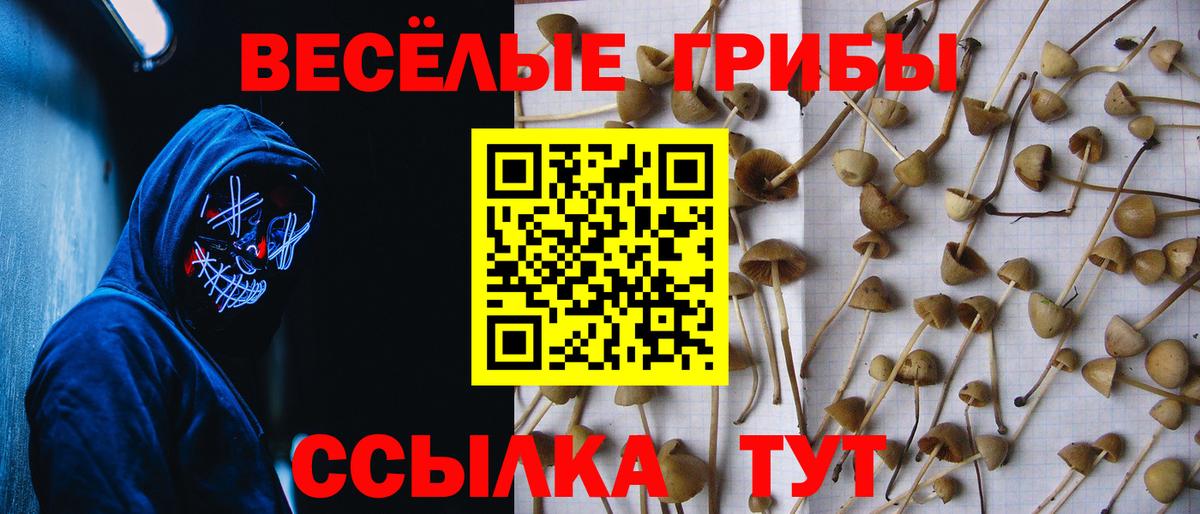 Галлюциногенные грибы Cubensis Югорск